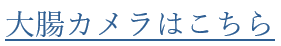 大腸カメラはこちら